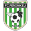 Феронікелі
